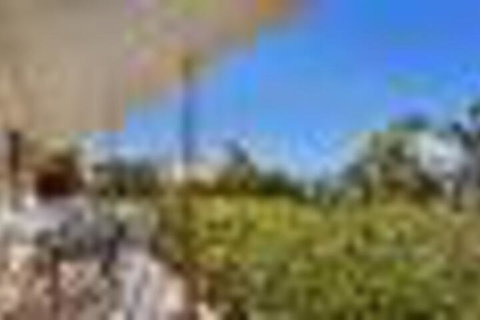 Ronald Avenue 57 - New Castle Holiday 4