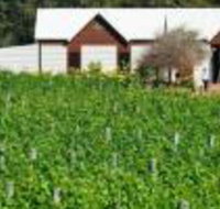 Upper Reach Spa Cottage - New Castle Holiday