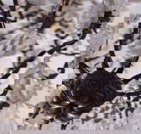 Discover Classic Rocks - New Castle Holiday