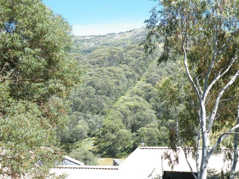 Mowamba E1 - New Castle Holiday 4