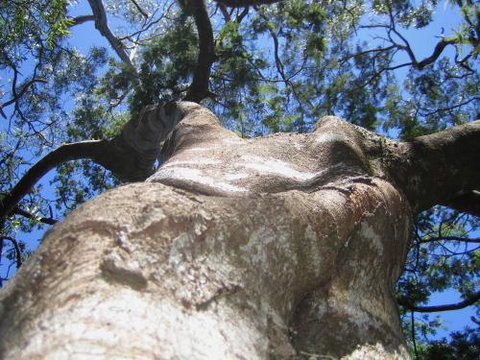 Arthur Riverfront & Sea Lodge Downstream - New Castle Holiday 4