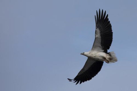 Arthur Riverfront & Sea Lodge Downstream - New Castle Holiday 6