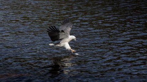 Arthur Riverfront & Sea Lodge Downstream - New Castle Holiday 3