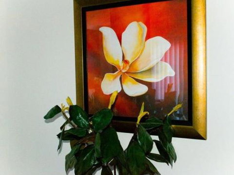 The Sands Unit 14 - New Castle Holiday 3