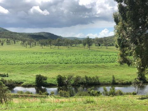 Creekbend - New Castle Holiday 2