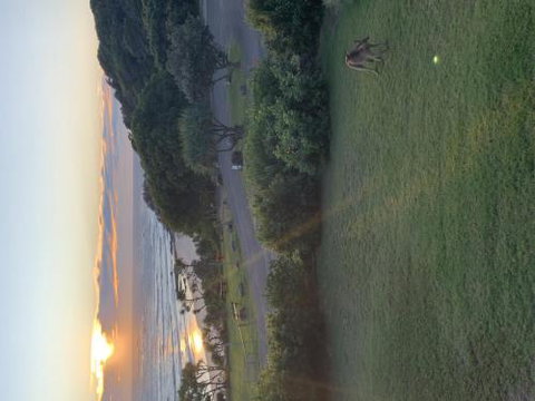 Acutterbove - New Castle Holiday 6