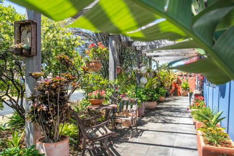 Nazza - New Castle Holiday 1