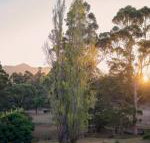 Karribank  the Karri on Bar - New Castle Holiday