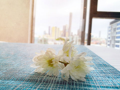 Apartments On Connor - New Castle Holiday 5