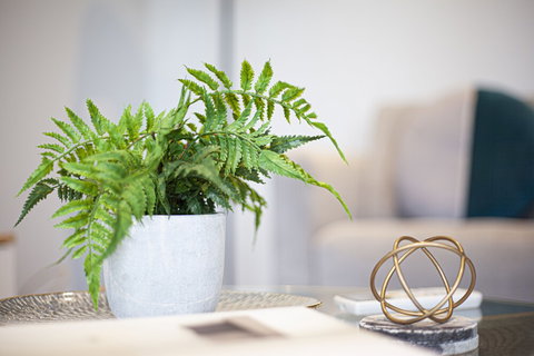 Urban Rest Bella Apartments - New Castle Holiday 2