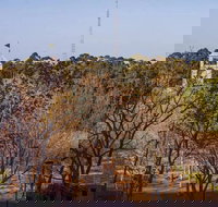 Luxury Skyrise 2bed2bath APT in Olympic Park - New Castle Holiday