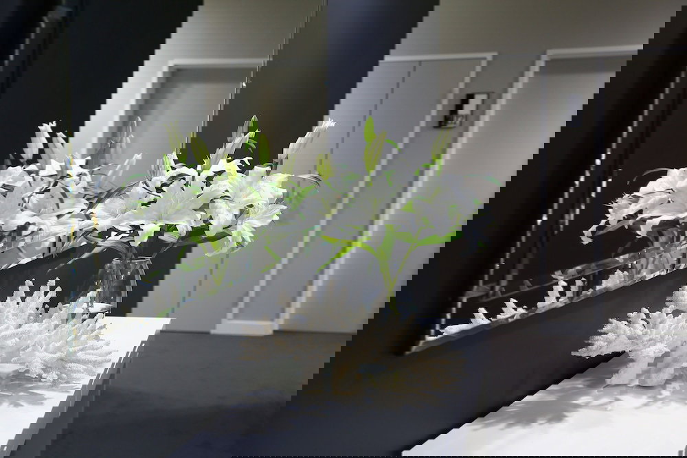 Brookwater QLD New Castle Holiday