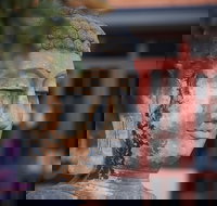 Pagoda Resort  Spa - New Castle Holiday