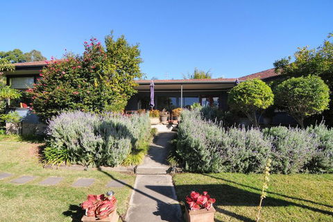 Dolphin Sands - New Castle Holiday 4