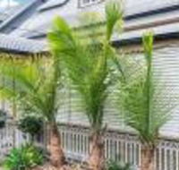 One Thornbury Boutique B  B - New Castle Holiday