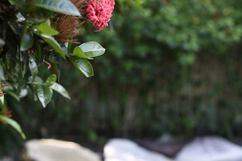 Sealords - New Castle Holiday 3