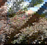 Merrimeet Cottages - New Castle Holiday