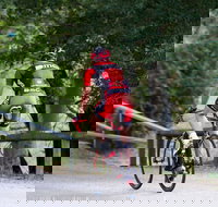 NRMA Bright Holiday Park - New Castle Holiday