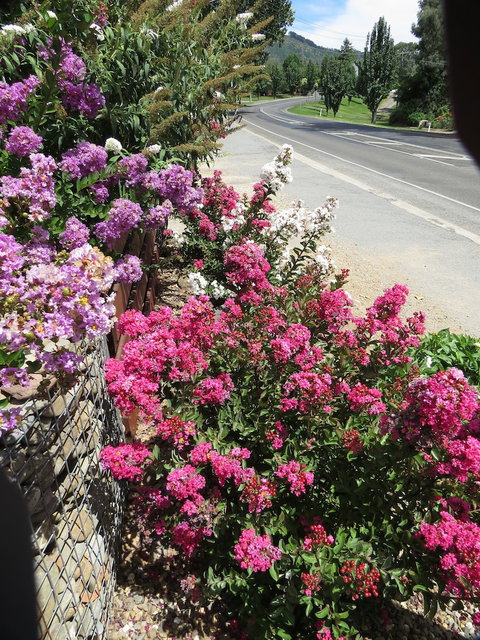 Gatekeepers Traditional Bed & Breakfast - New Castle Holiday 0