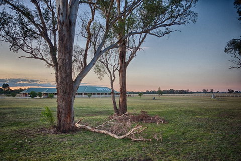 Stockmans Motel - New Castle Holiday 2