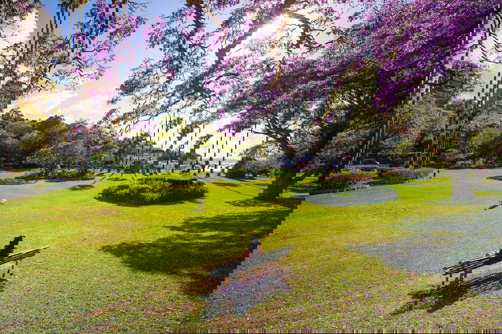 Turramurra NSW New Castle Holiday