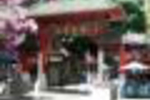 The Harbour Phoenix - New Castle Holiday 4