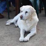 Nazaaray Beach House - New Castle Holiday 0