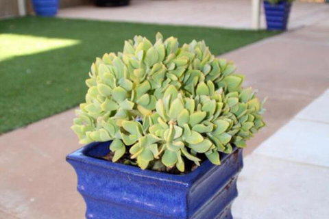 Sunset Retreat - New Castle Holiday 3