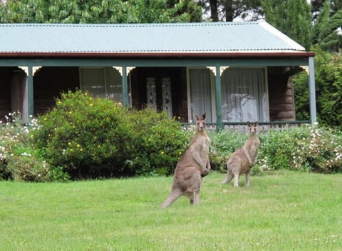 Cedar Lodge Cabins - New Castle Holiday 1