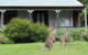 Cedar Lodge Cabins - thumb 0