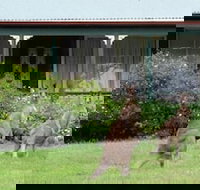 Cedar Lodge Cabins - New Castle Holiday