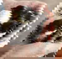 Margaret River Hideaway - New Castle Holiday