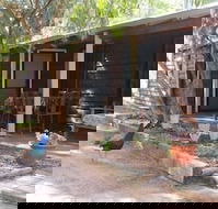Kerriley Park Farm Stay - New Castle Holiday