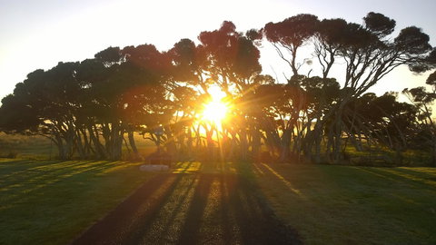 Low Head Tourist Park - Caravan Park - New Castle Holiday 1