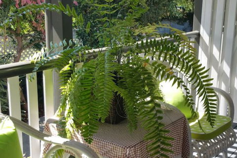 Elindale House Bed & Breakfast - New Castle Holiday 4