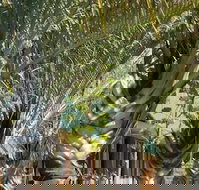 The Miners Rest Motel - New Castle Holiday