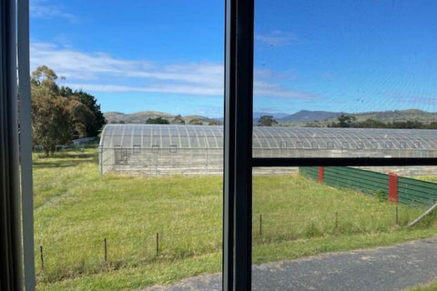 Alexanders' Of Richmond - New Castle Holiday 7