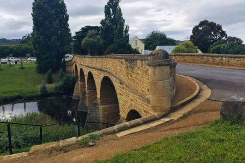 Alexanders' Of Richmond - New Castle Holiday 2