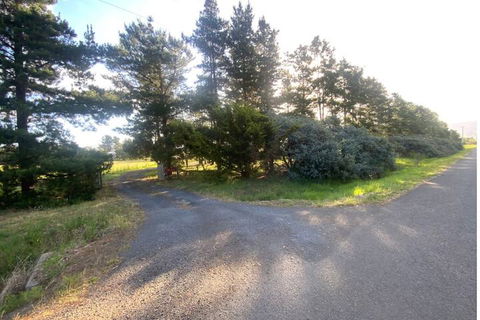 Alexanders' Of Richmond - New Castle Holiday 1