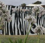 Zebras Guest House - New Castle Holiday