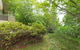 Tanglewood - thumb 3