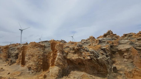 Georgia - New Castle Holiday 4