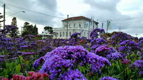 Georgia - New Castle Holiday 3