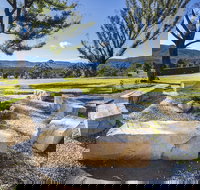 Terrewah Farm - New Castle Holiday