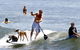 Noosa Beach Apartment On HASTING St. French Quarter Resort.Noosa Heads - thumb 5