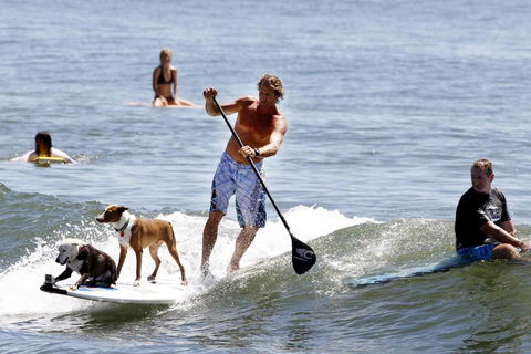 Noosa Beach Apartment On HASTING St. French Quarter Resort.Noosa Heads - New Castle Holiday 5