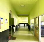 Bigfoot backpackers - New Castle Holiday