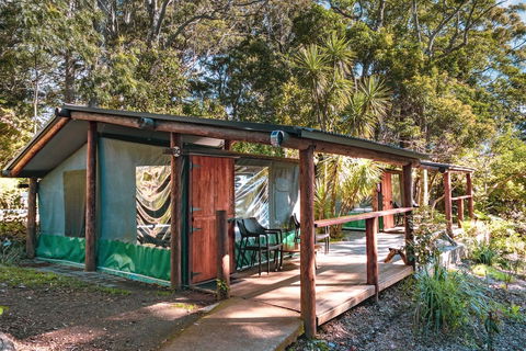 Binna Burra Rainforest Campsite - New Castle Holiday 3