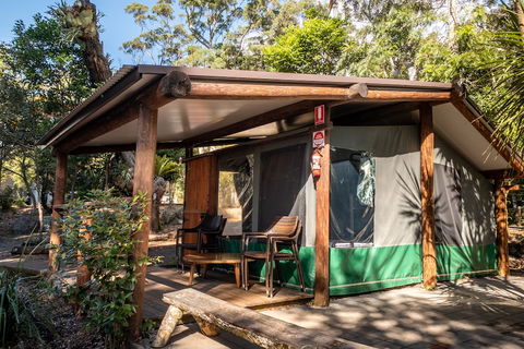 Binna Burra Rainforest Campsite - New Castle Holiday 5