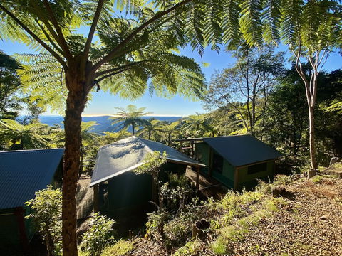 Binna Burra Rainforest Campsite - New Castle Holiday 0